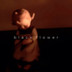 FK - Black Flower EP(excerpts) - SPOTIFY&