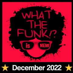 Funky & Disco House Mix 2022  ⭐ What the Funk is Nu! ⭐