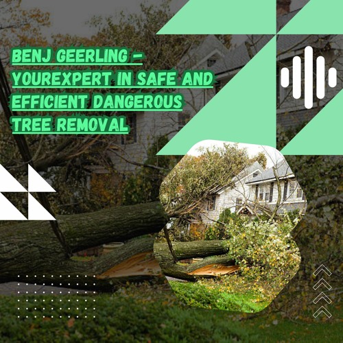 Benj Geerling - Your Expert in Safe and Efficient Dangerous Tree Removal