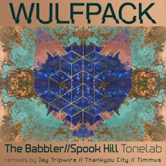 Tonelab - Spook Hill (Thankyou City Remix) PREVIEW