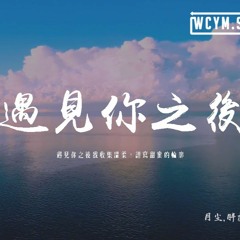 月塵,胖虎 - 遇見你之後「遇見你之後我收集溫柔，譜寫甜蜜的輪廓」【動態歌詞/pīn yīn gē cí】