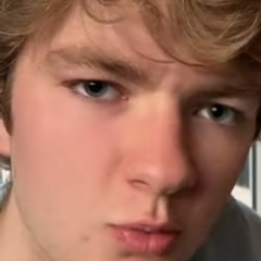 Animal Crossing New Leaf OST 'Able Sisters (tommyinnit theme 2.0)