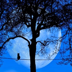 Tree of knowledge (Mix 2025)