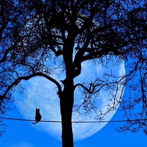 Tree of knowledge (Mix 2025)