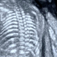 Joey Tuckshop - one day i'll tell him