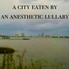 Մադդհէվս Պրիտկէ Սհէէդ Մէդալ (demo)