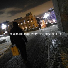 i'm a museum of everything i love and fear (belsha)