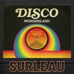 Disco Wonderland - Live DJ Set (Surleau)