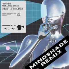 Tensnake - Keep It Secret (MindShade Remix)