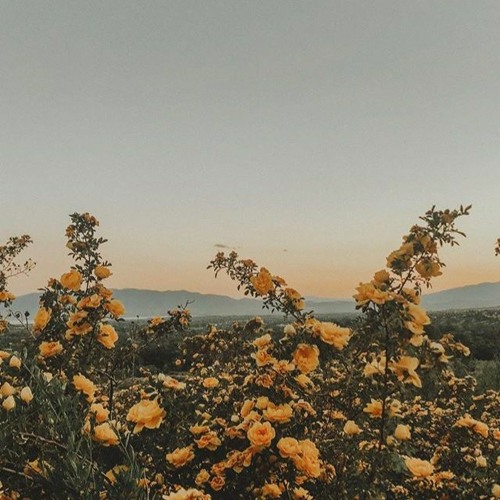 Instagram Edit Audios (Part 5)