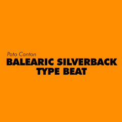 Balearic Silverback Type Beat