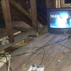 LAN PARTY (SD QUALITY)