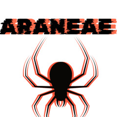 Araneae