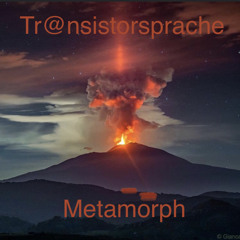 Metamorph