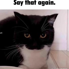 <3