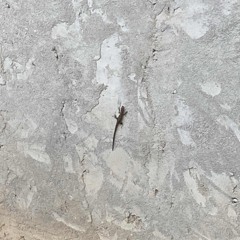 ben olmasam yoksun.m4a