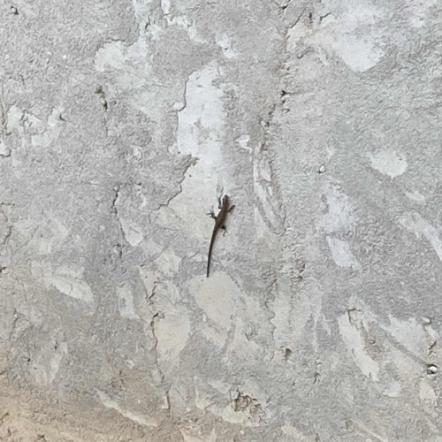 ben olmasam yoksun.m4a