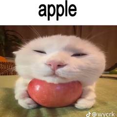 this is an apple (RR) (BABA)