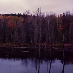 BAILE - Fall at Lake Taghkanic