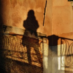 Where Do you Go To My Lovely (Song Preview)