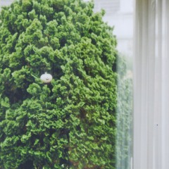 Forest Jam — 10. Mai 2020