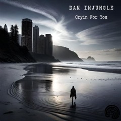 Dan InJungle - Cryin For You