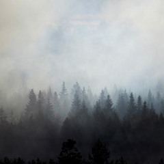 Wildfire Smoke