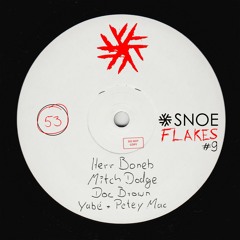 Premiere: Doc Brown - Invisible [SNOE]