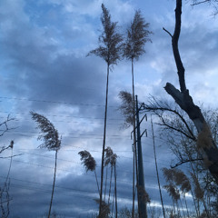 Pumpin' The Speakers