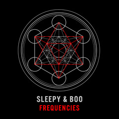 Sleepy & Boo - Frequencies
