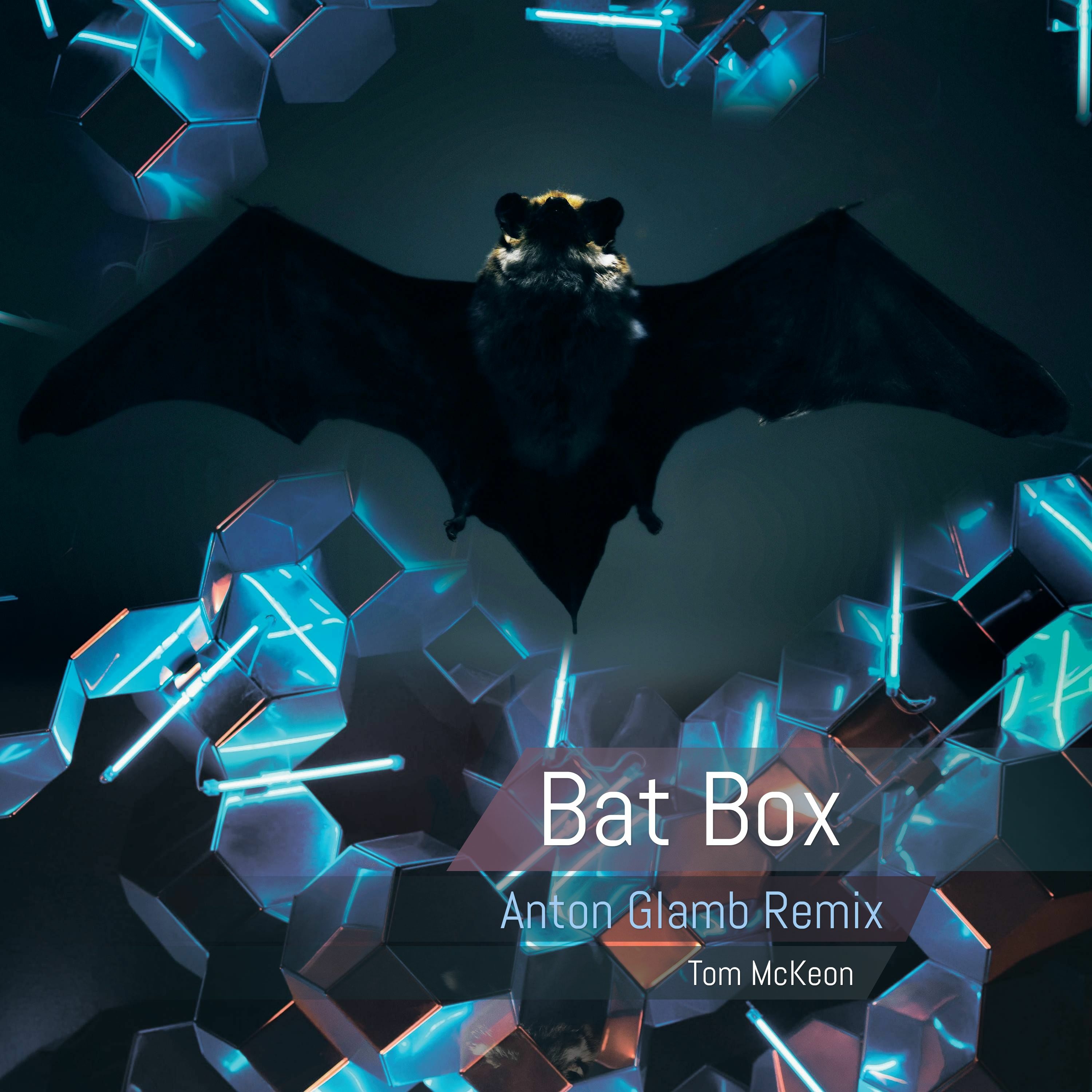 Bat Box (Anton Glamb Remix) episode artwork