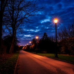 Streetlight Dreams