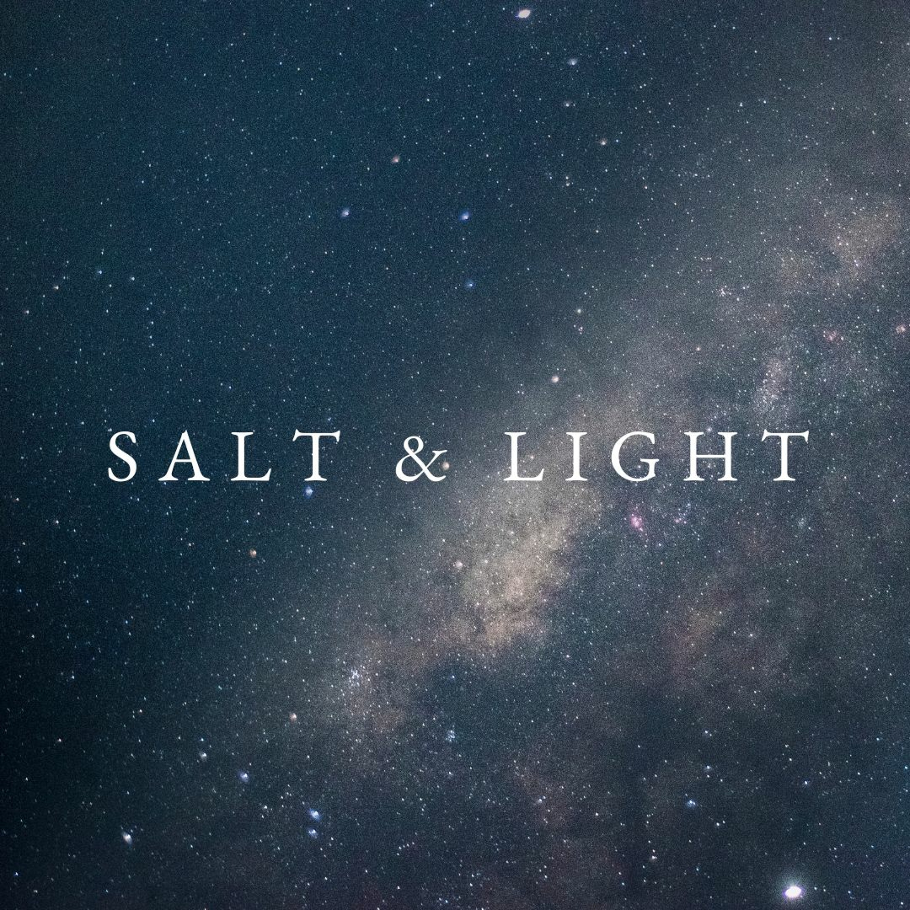 Salt & Light - David T episode artwork