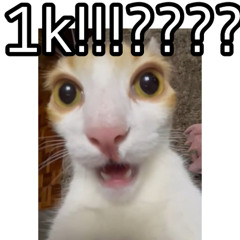 WHAT SHOULD I DO FOR 1K FOLLOWERS