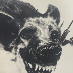 MONSTER(prod by Qwal!ty)