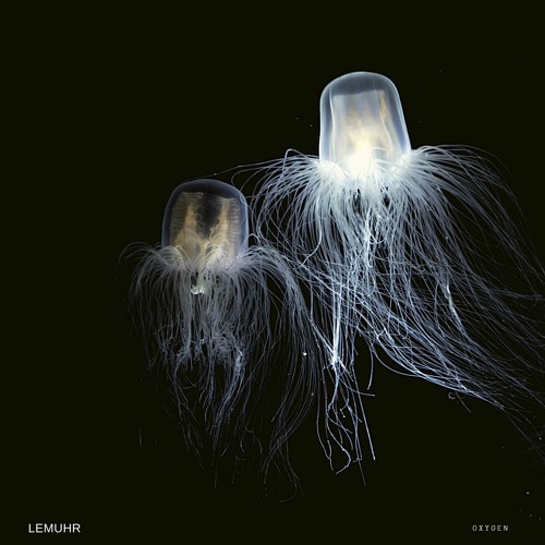 Lemuhr - Oxygen