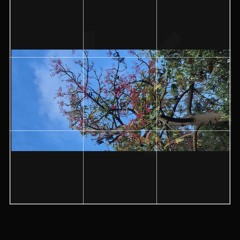 1_Drill_16 (mastered) (mp3cut.net)