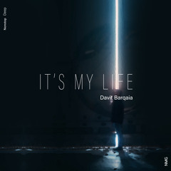 Davit Barqaia - It's My Life