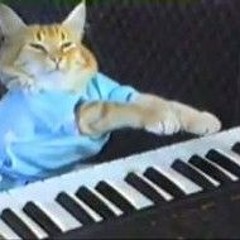 DJ PCW - PIANO CAT