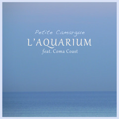 Petite Camargue (Instrumental) [feat. Coma Coast]