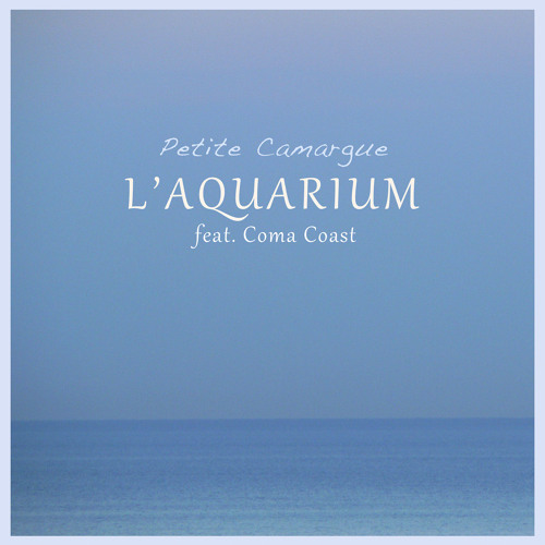 Petite Camargue (Instrumental) [feat. Coma Coast]