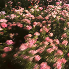 Demirly / Jemiyet Radio (Afro Mix) (17.08.24)