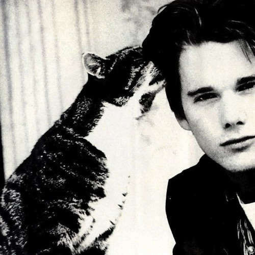 Afzaeili yaeiuni wujudi.