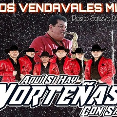 Los Vendavales Mix 2023, (Puro pasito Satevo)