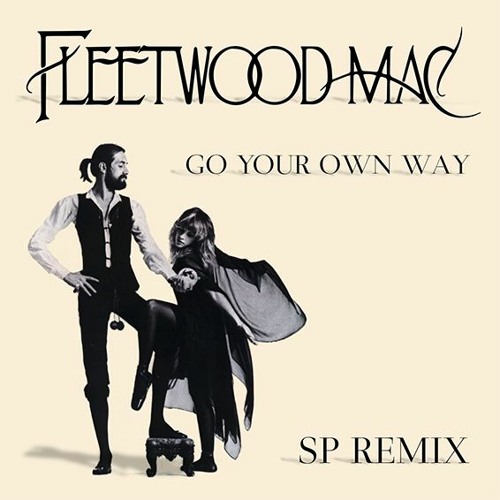 Fleetwood Mac - Go Your Own Way (SP DnB Remix)