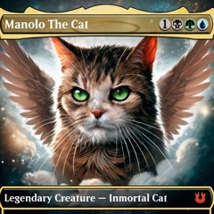 R1D-Manolo is not a human