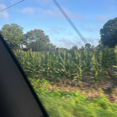 circle square triangle