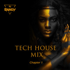 Sinhala Tech House Mix 2022 DJ RANDY