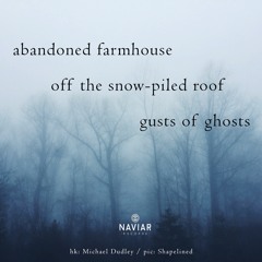 haiku #361: abandoned farmhouse / off the snow-piled roof / gusts of ghosts