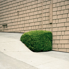 Pose Beams (feat. Jefre Cantu-Ledesma, John Thayer & Robbie Lee)